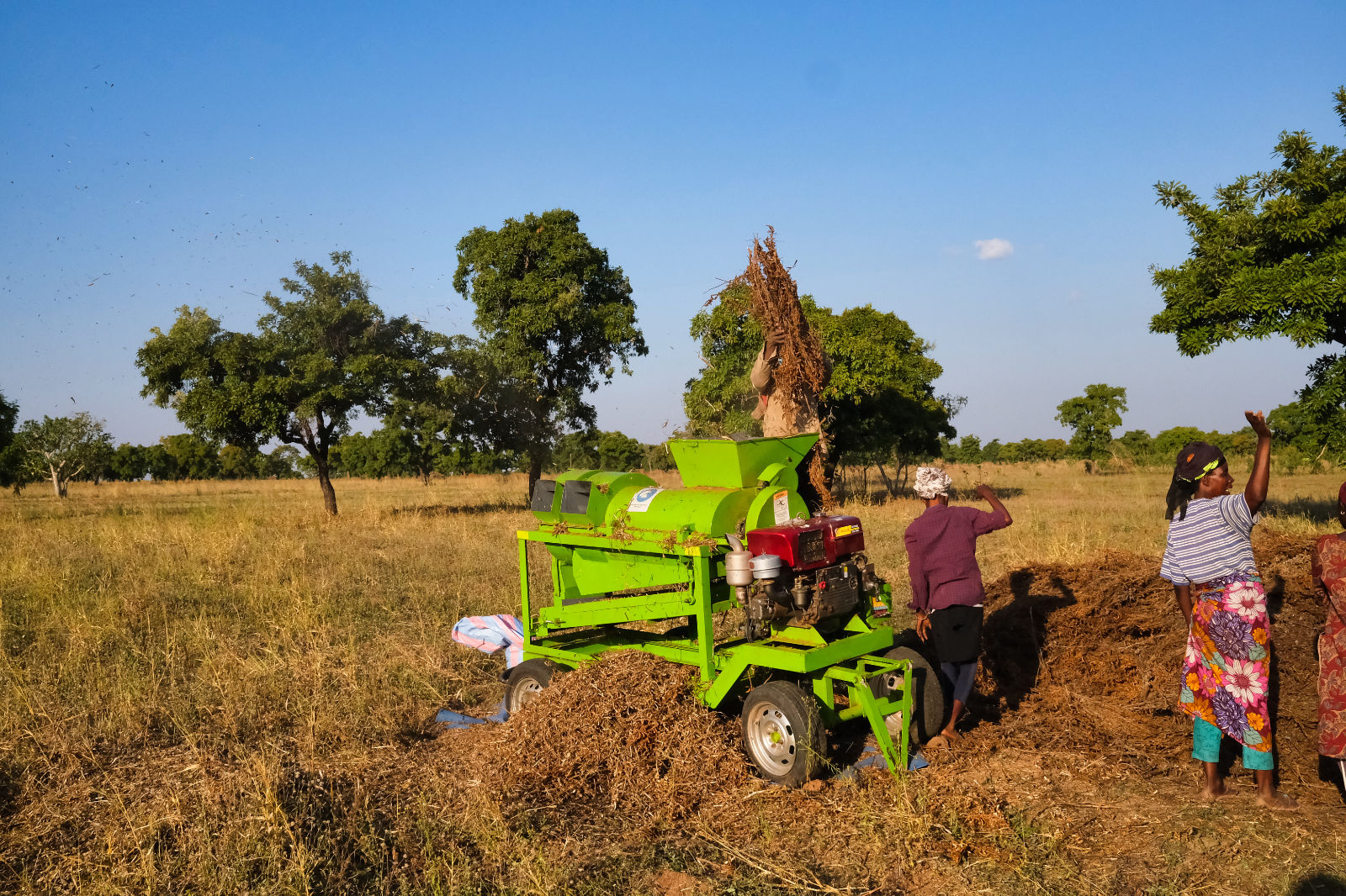SAYeTECH Field Threshing