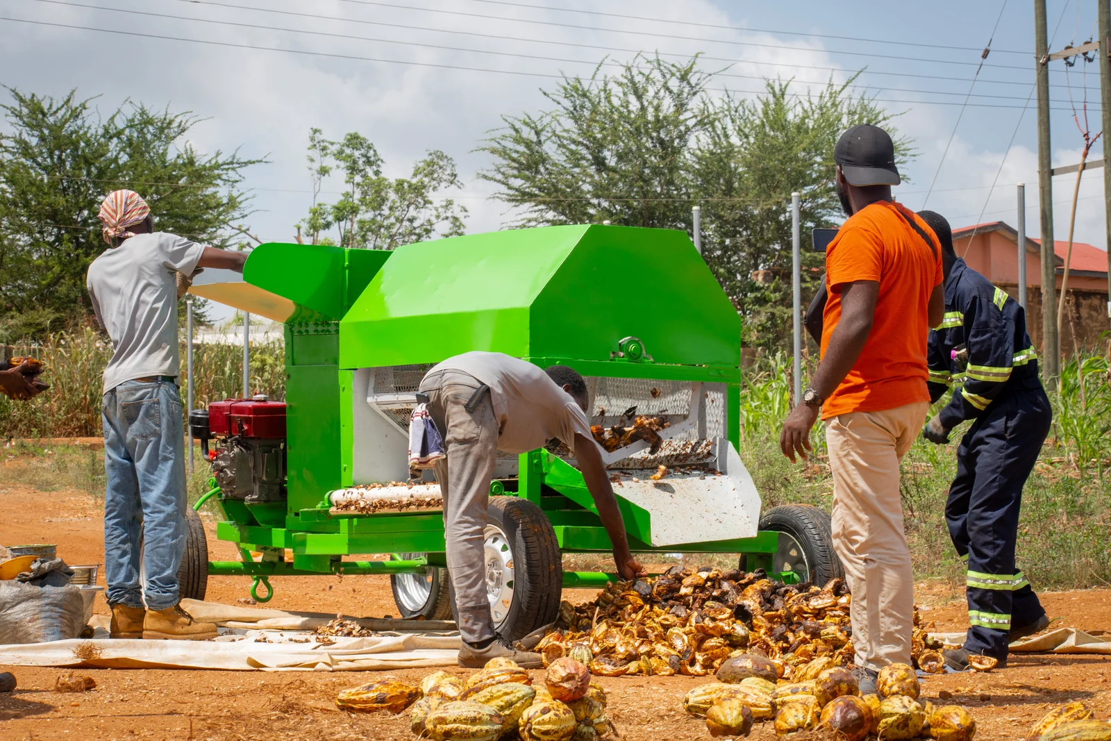 Cocoa Pod Breaking Machine view