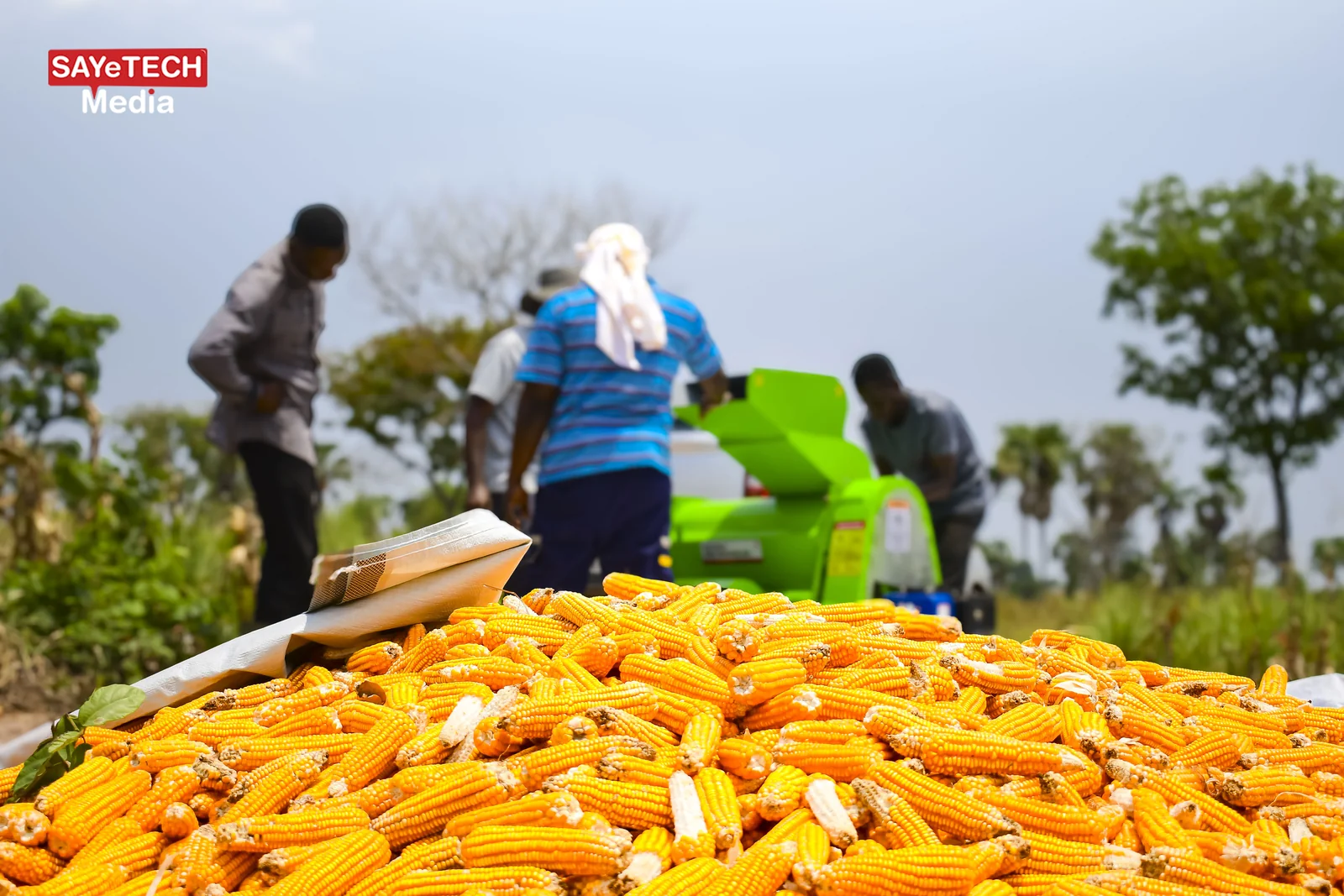 Maize Sheller view