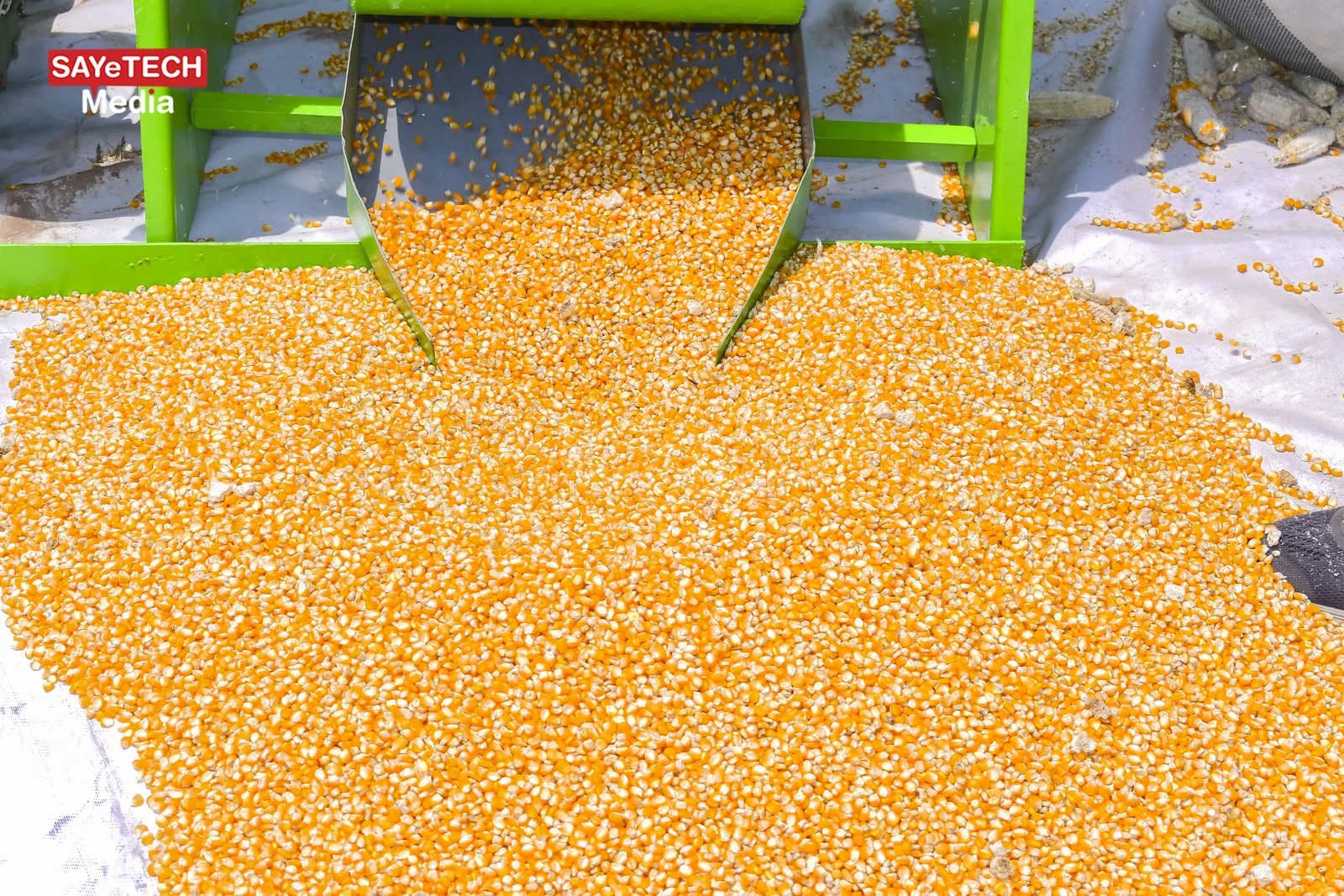 Maize Sheller view
